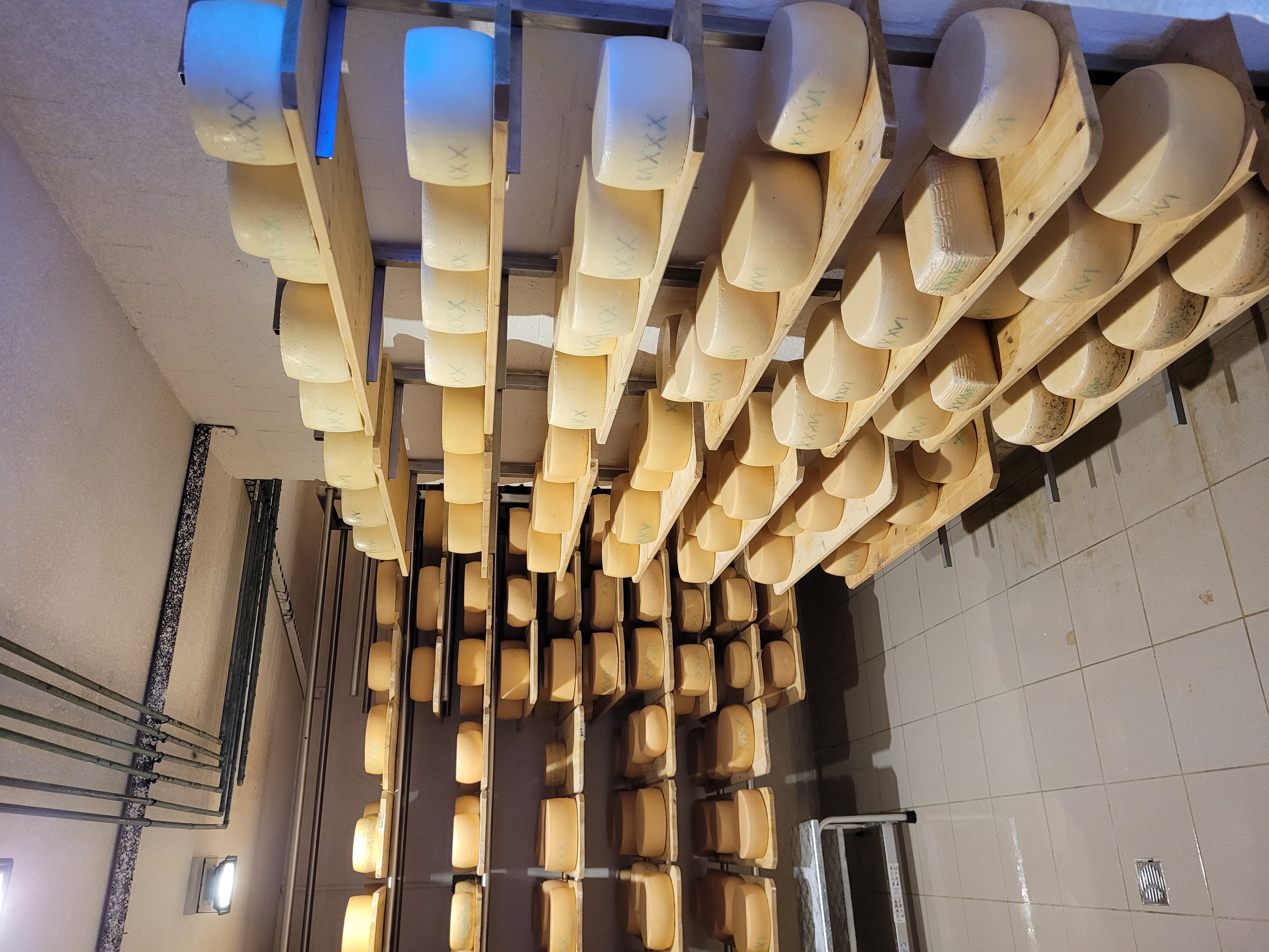 Hier reift der Hartkäse.