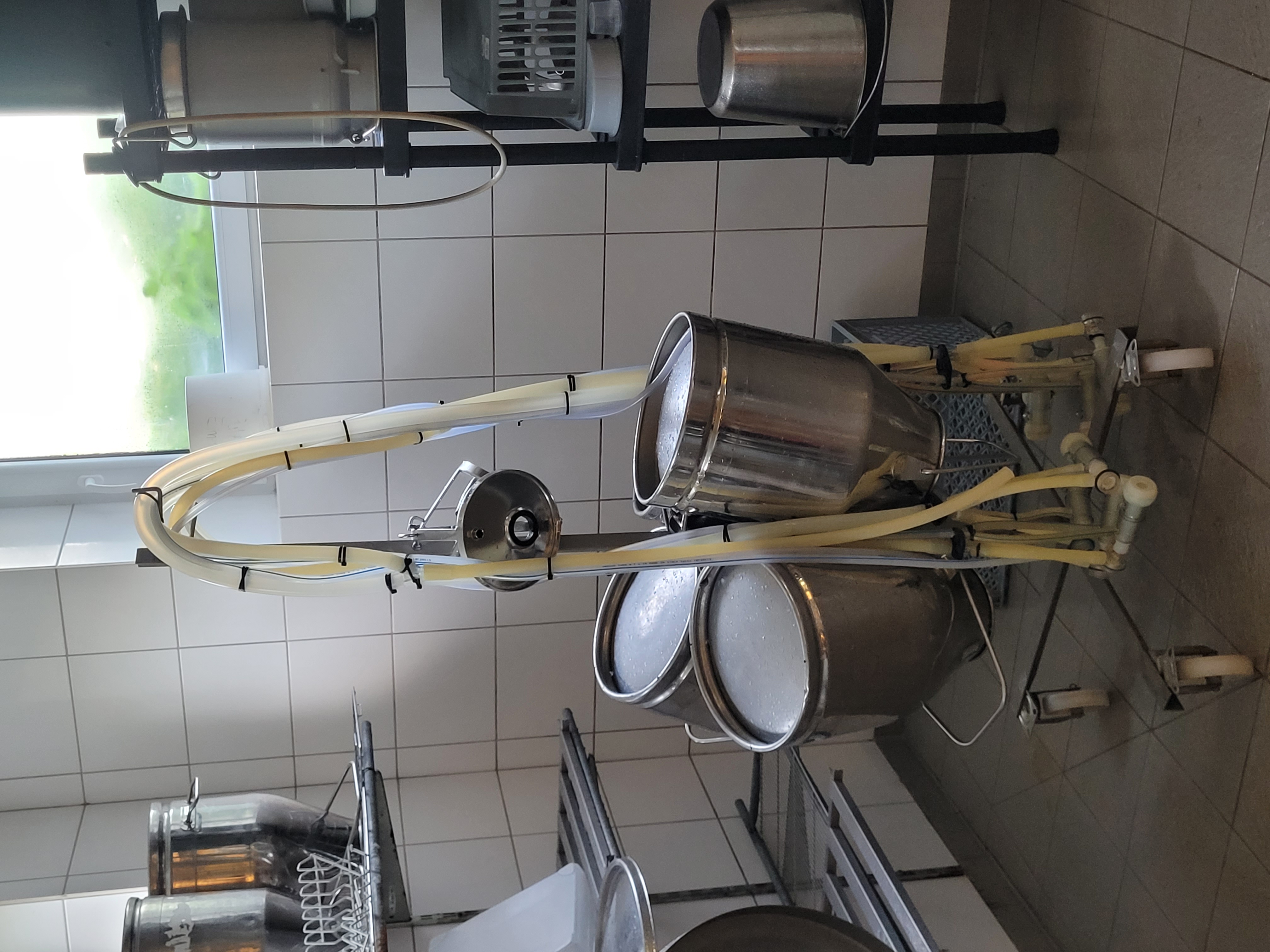 Das Melkgeschirr.