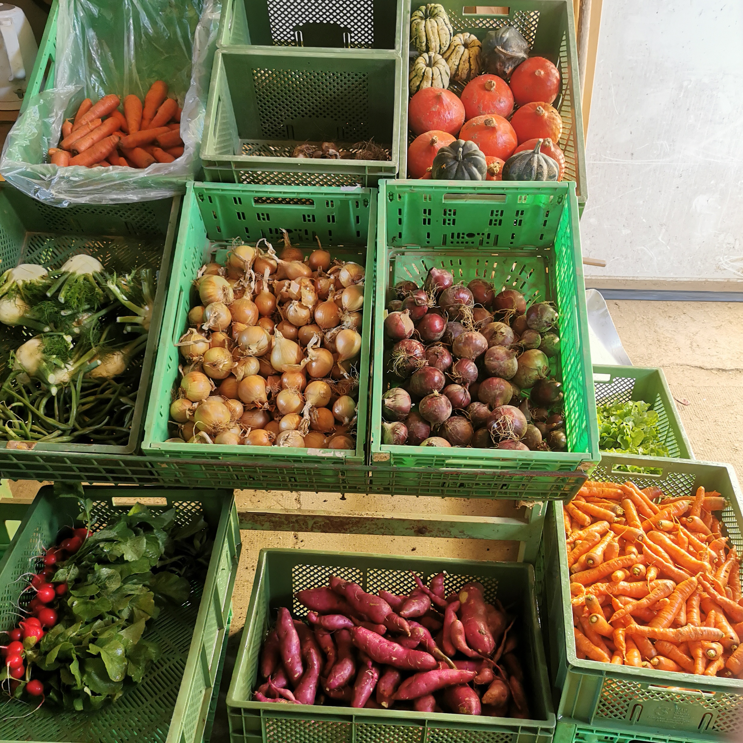 So könnte es an einem Verteilpunkt aussehen.