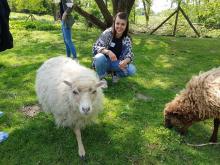 Anni und zwei Schafe.