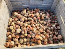 Die halbvolle Großkiste.