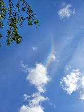 Ein lustiger Regenbogen.